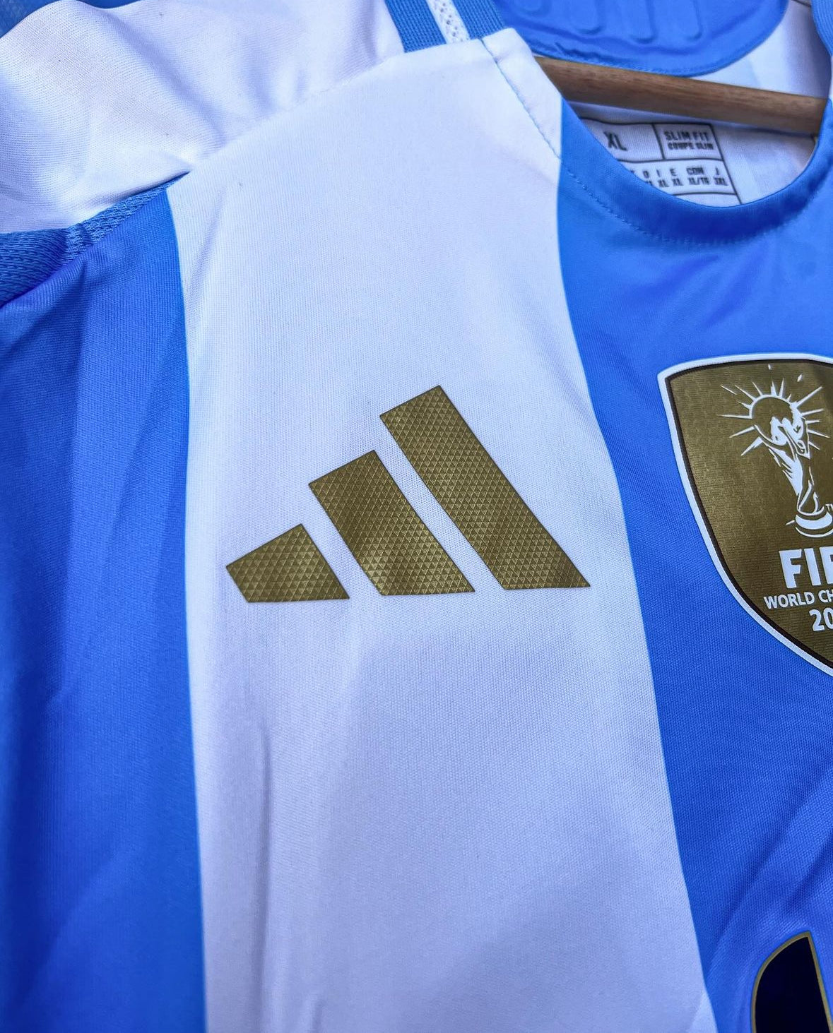 Argentina Home Jersey 24/25