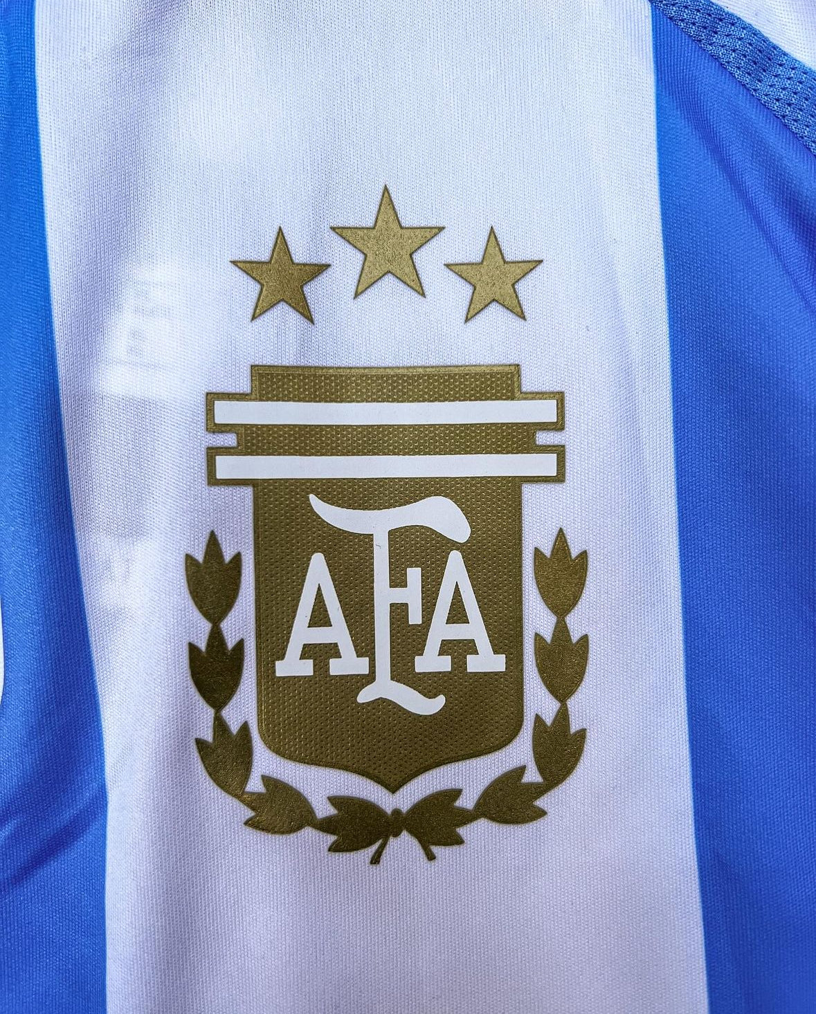 Argentina Home Jersey 24/25