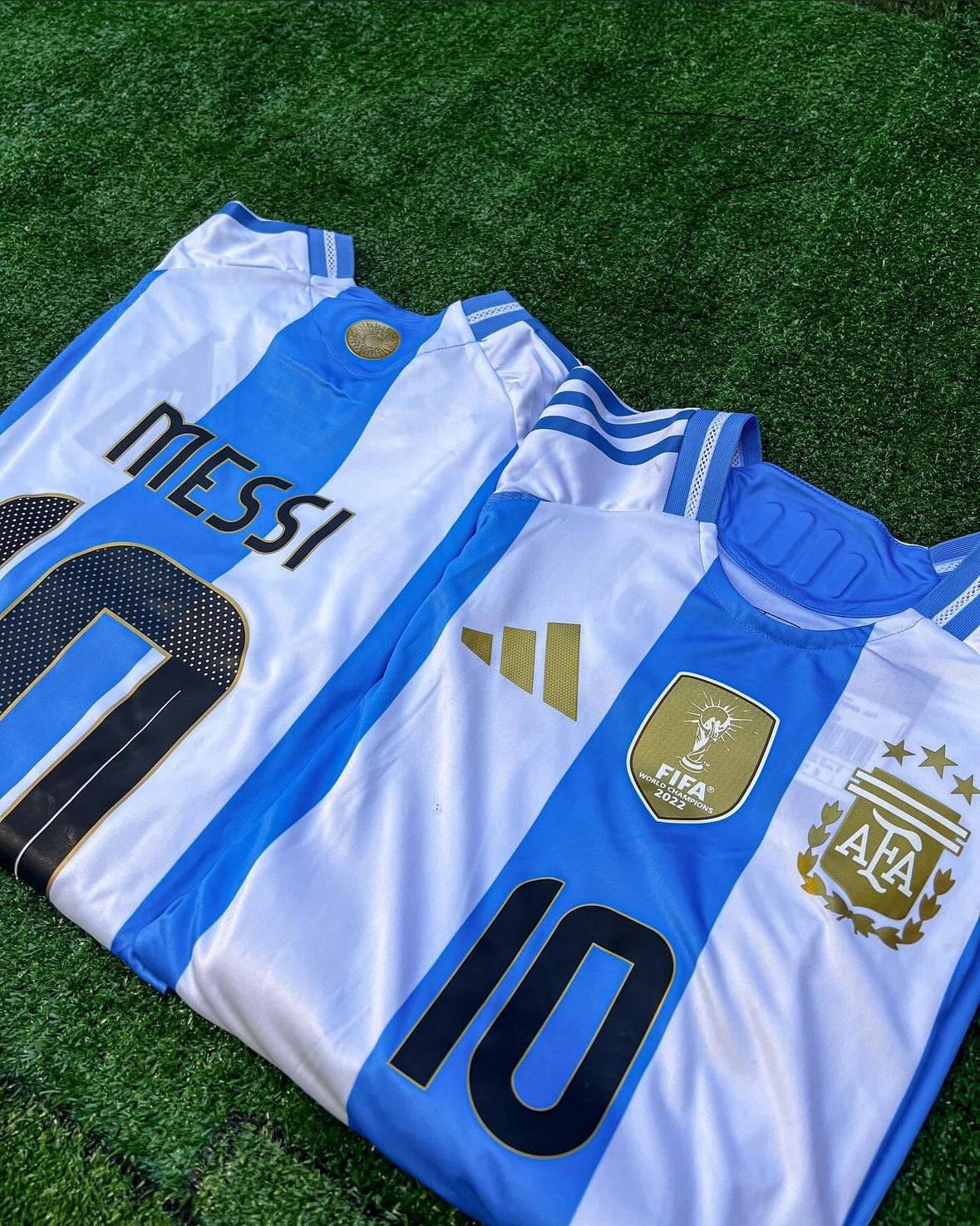 Argentina Home Jersey 24/25